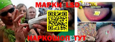 PSILOCYBIN Ирбит