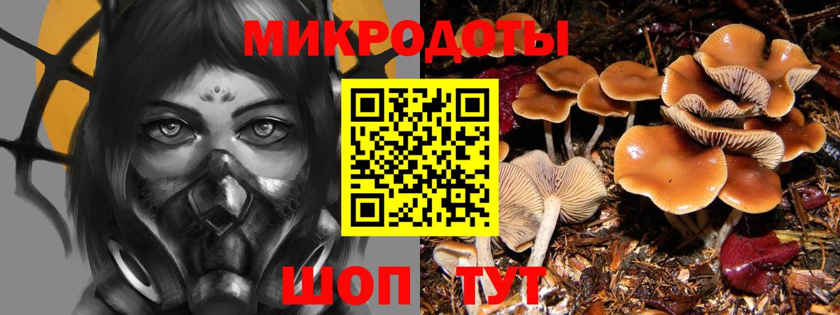 Псилоцибиновые грибы ЛСД Кропоткин